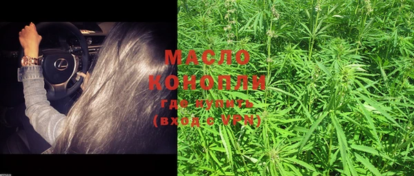 дмт Каменка