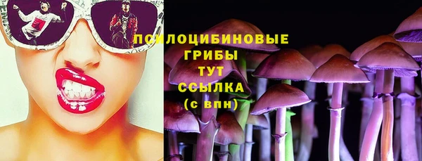 спайс Инта