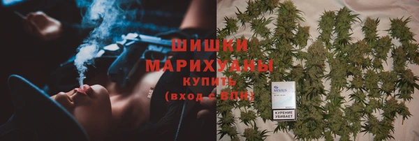 шишки Козловка