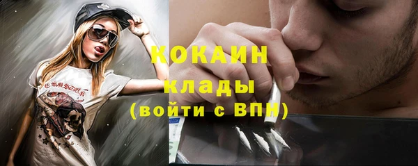 mdpv Инсар