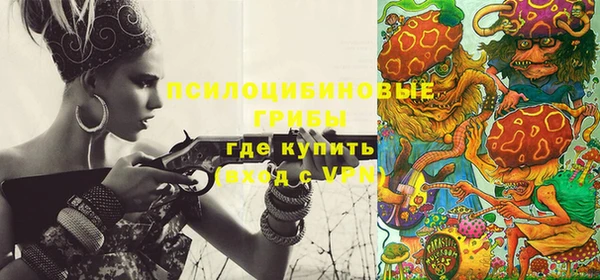 шишки Козловка