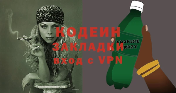 шишки Козловка