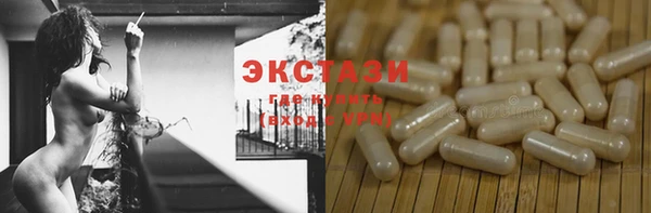 дмт Каменка