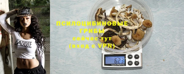 дмт Каменка