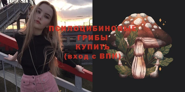 шишки Козловка