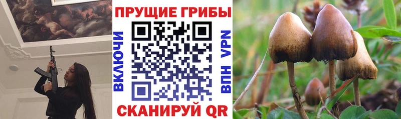 Галлюциногенные грибы Magic Shrooms  Купить где  Кстово 